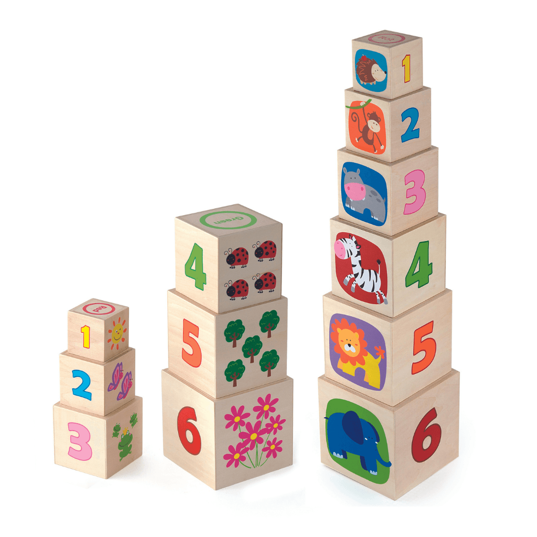 Set of 6 Wooden Nesting and Stacking Cubes
